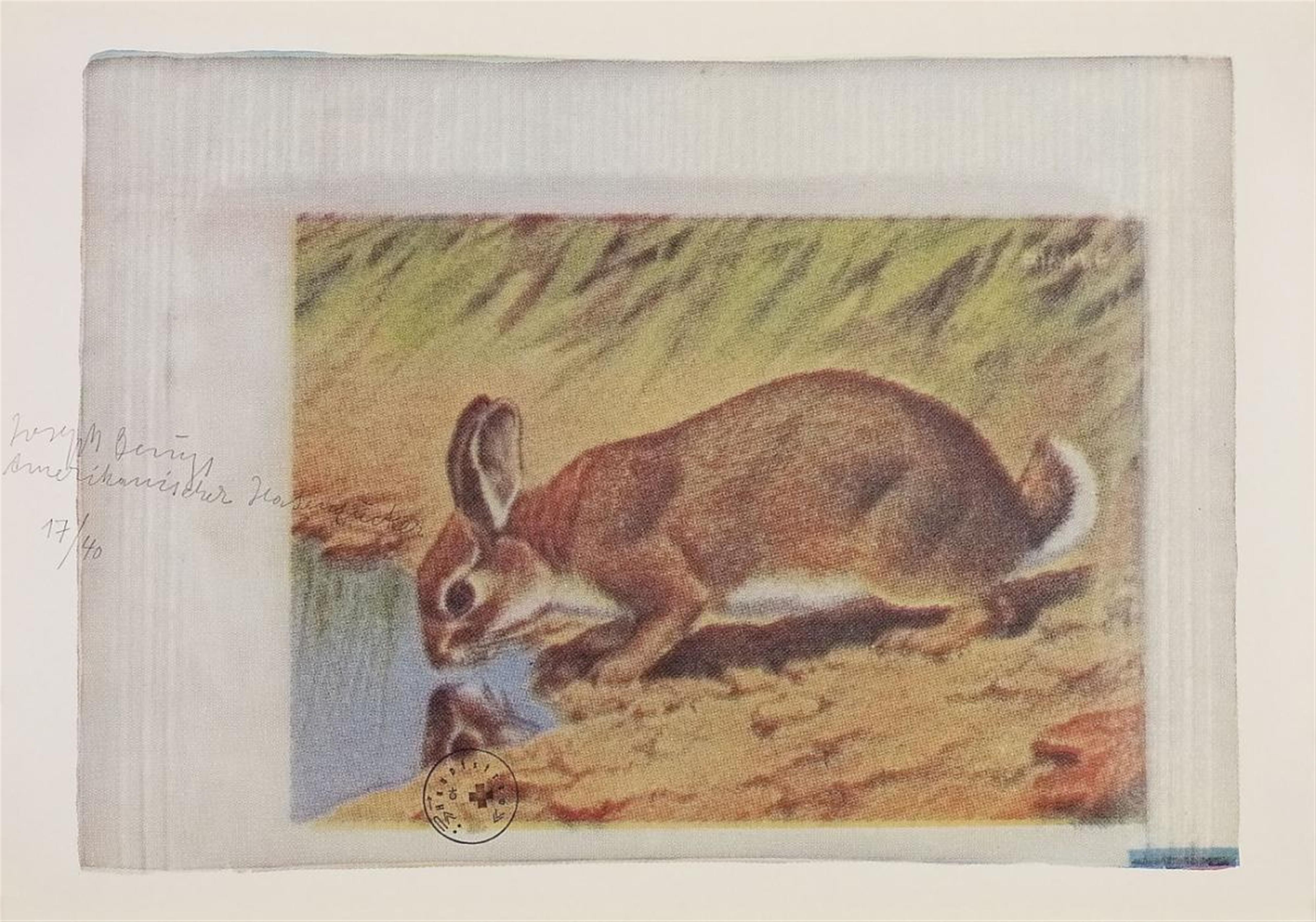 Joseph Beuys - Amerikanischer Hasenzucker (American hare suggar) - image-1