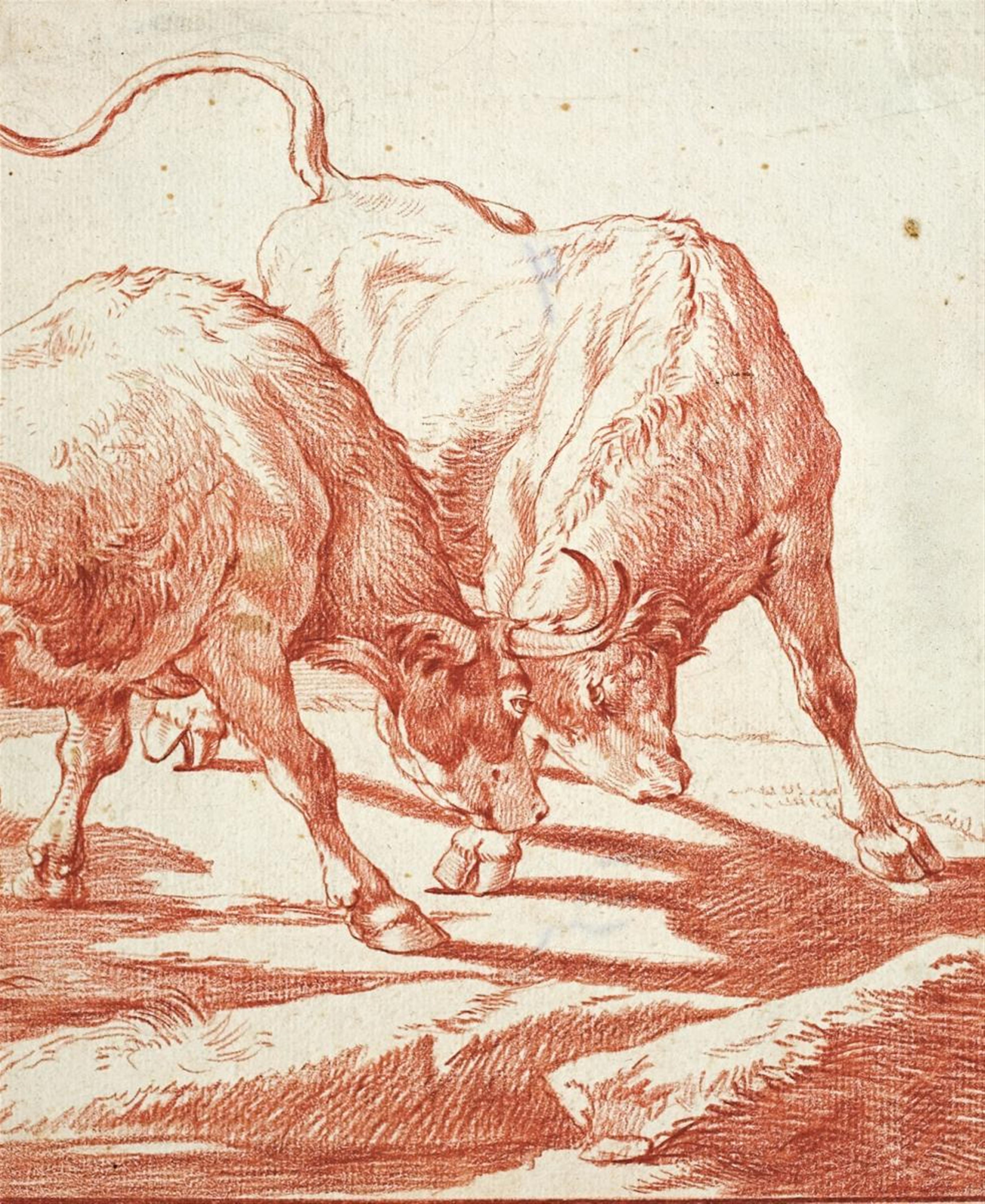 French School, 18th century - TWO FIGHTING BULLS - image-1
