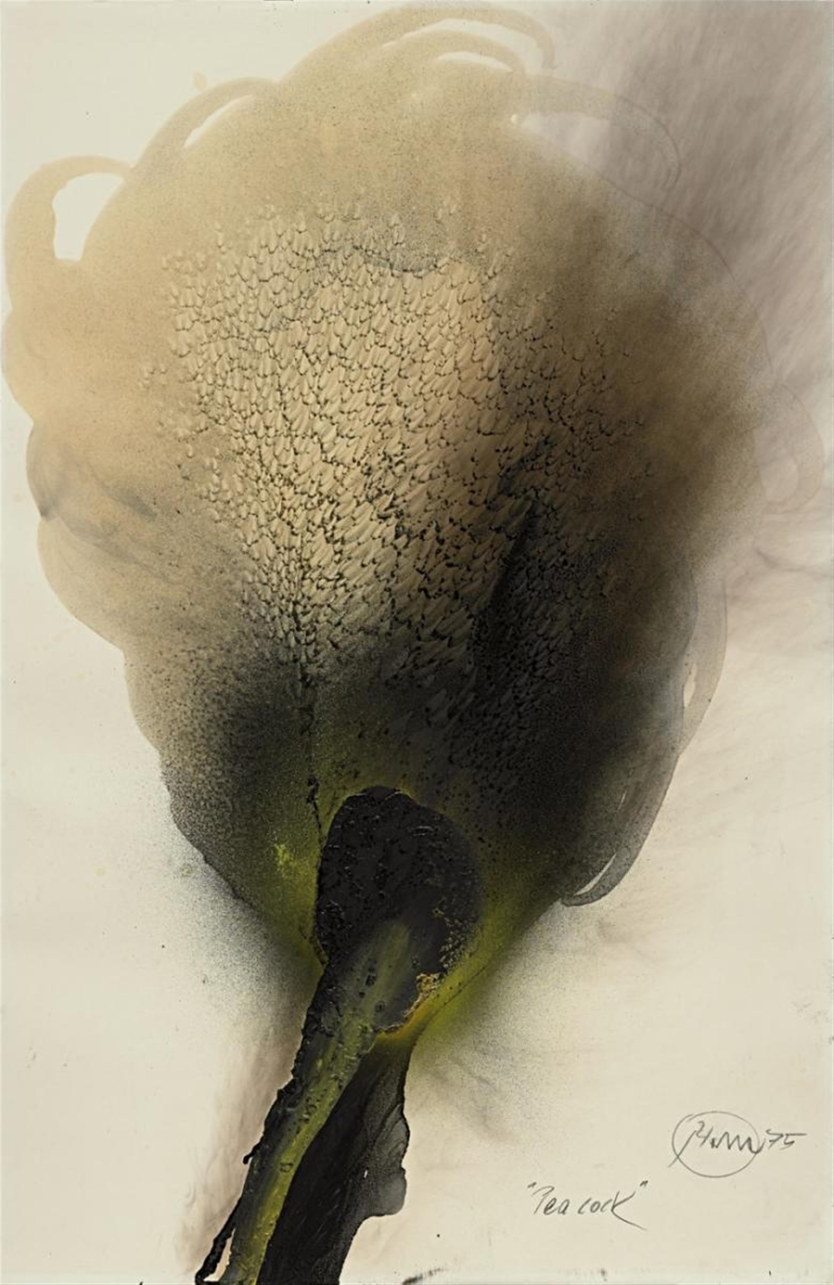Otto Piene - Peacock - image-1