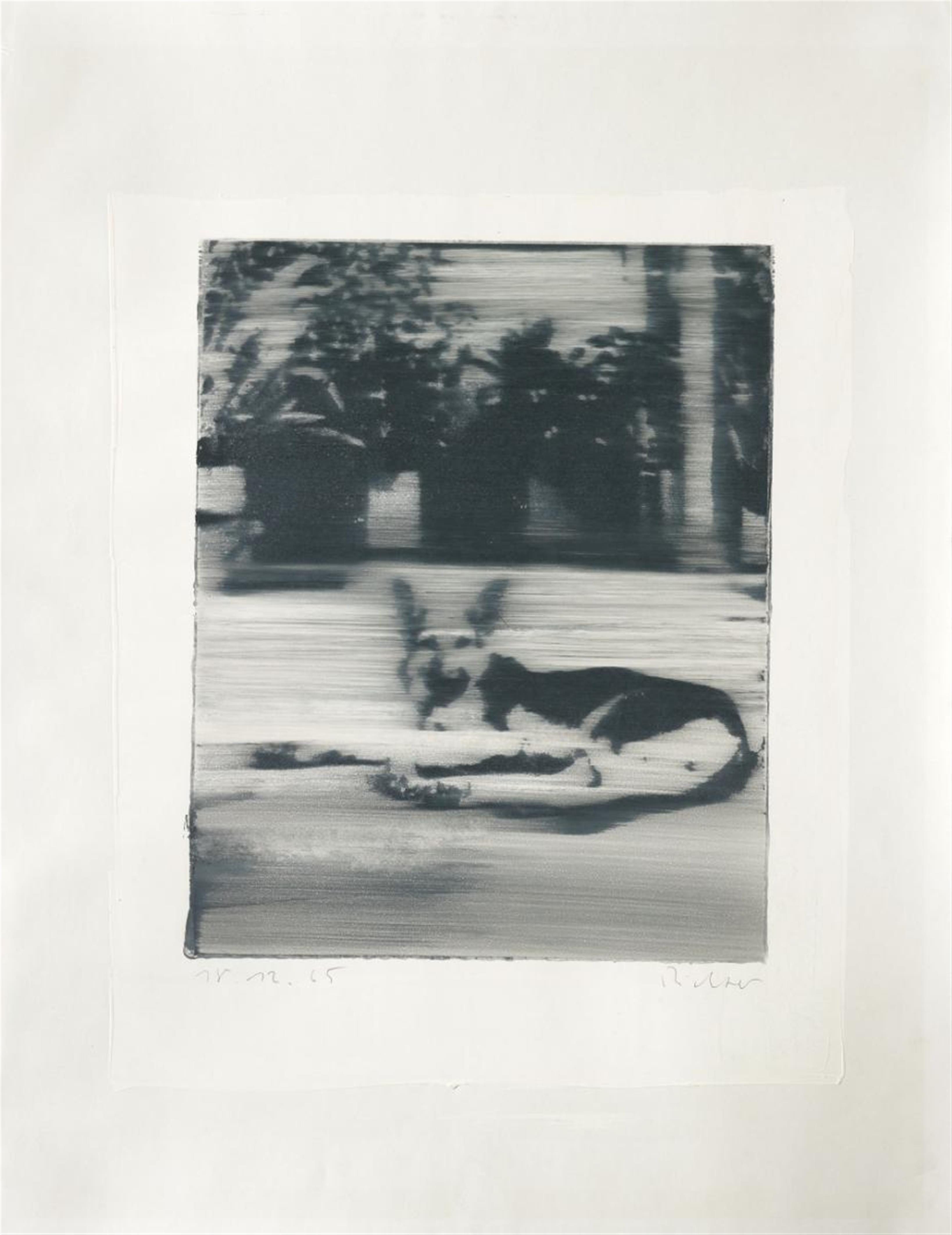 Gerhard Richter - Hund (dog) - image-1
