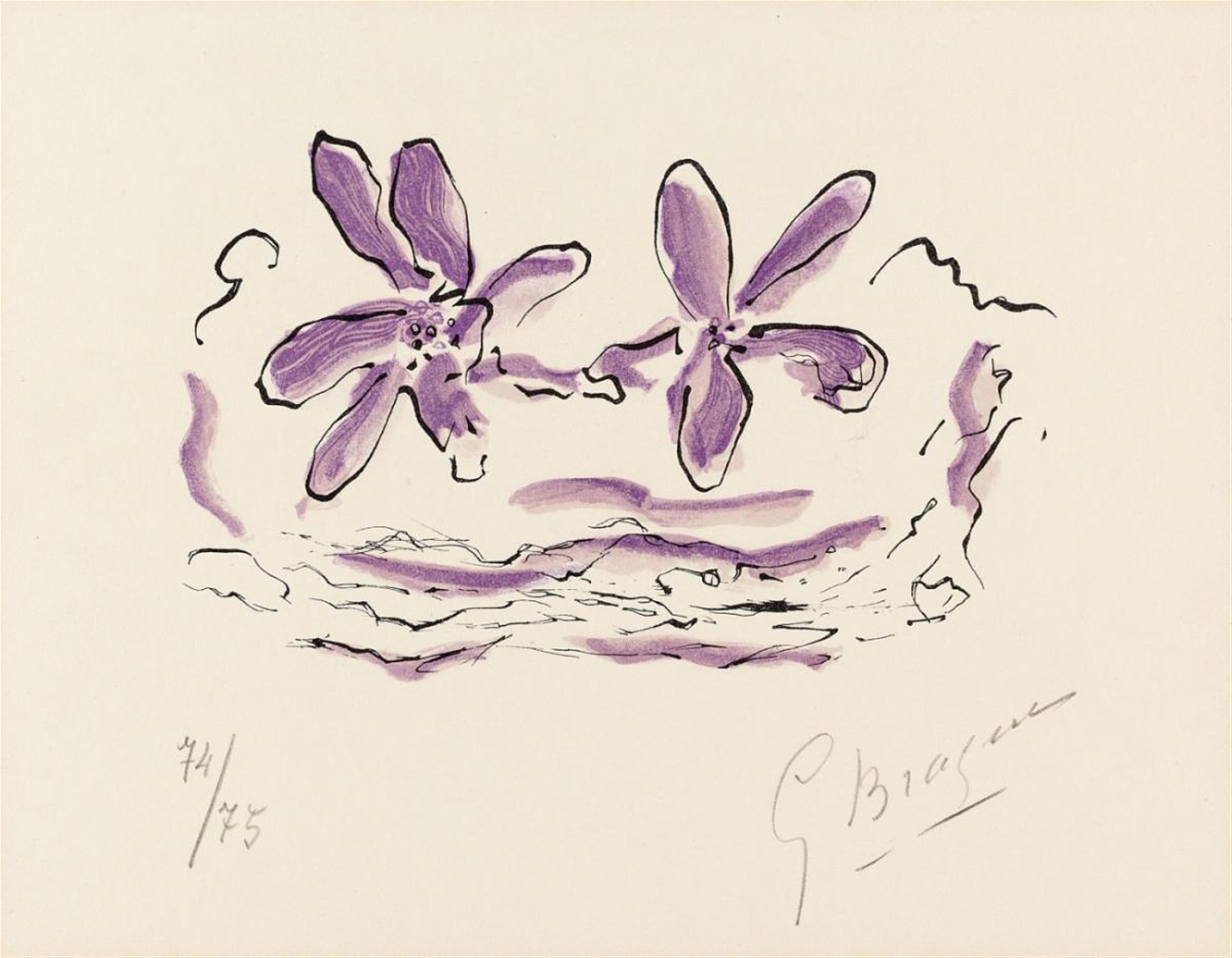 Georges Braque - Deux fleurs violettes - image-1