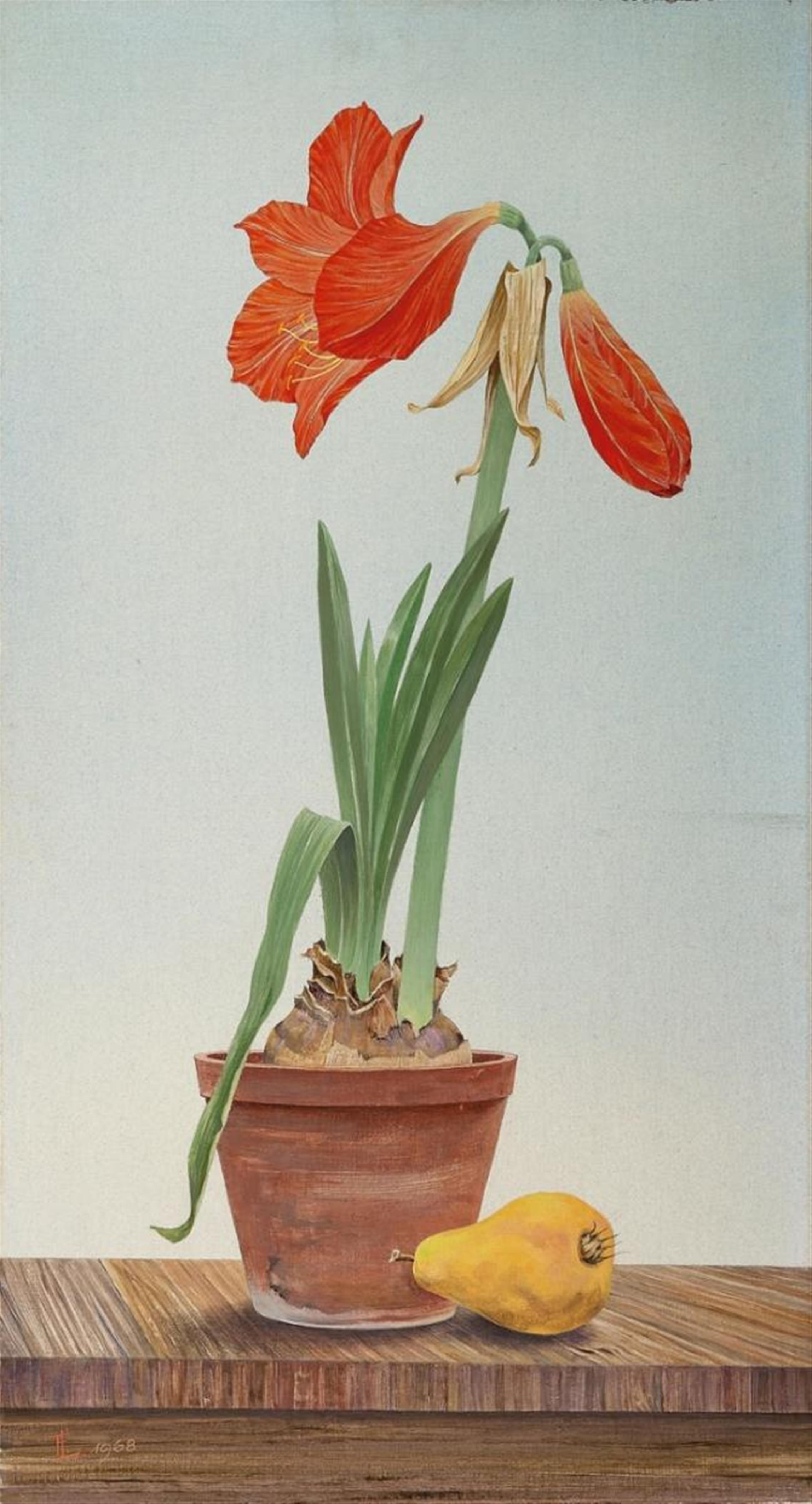 Franz Lenk - Stilleben mit roter Amaryllis und Birne - image-1