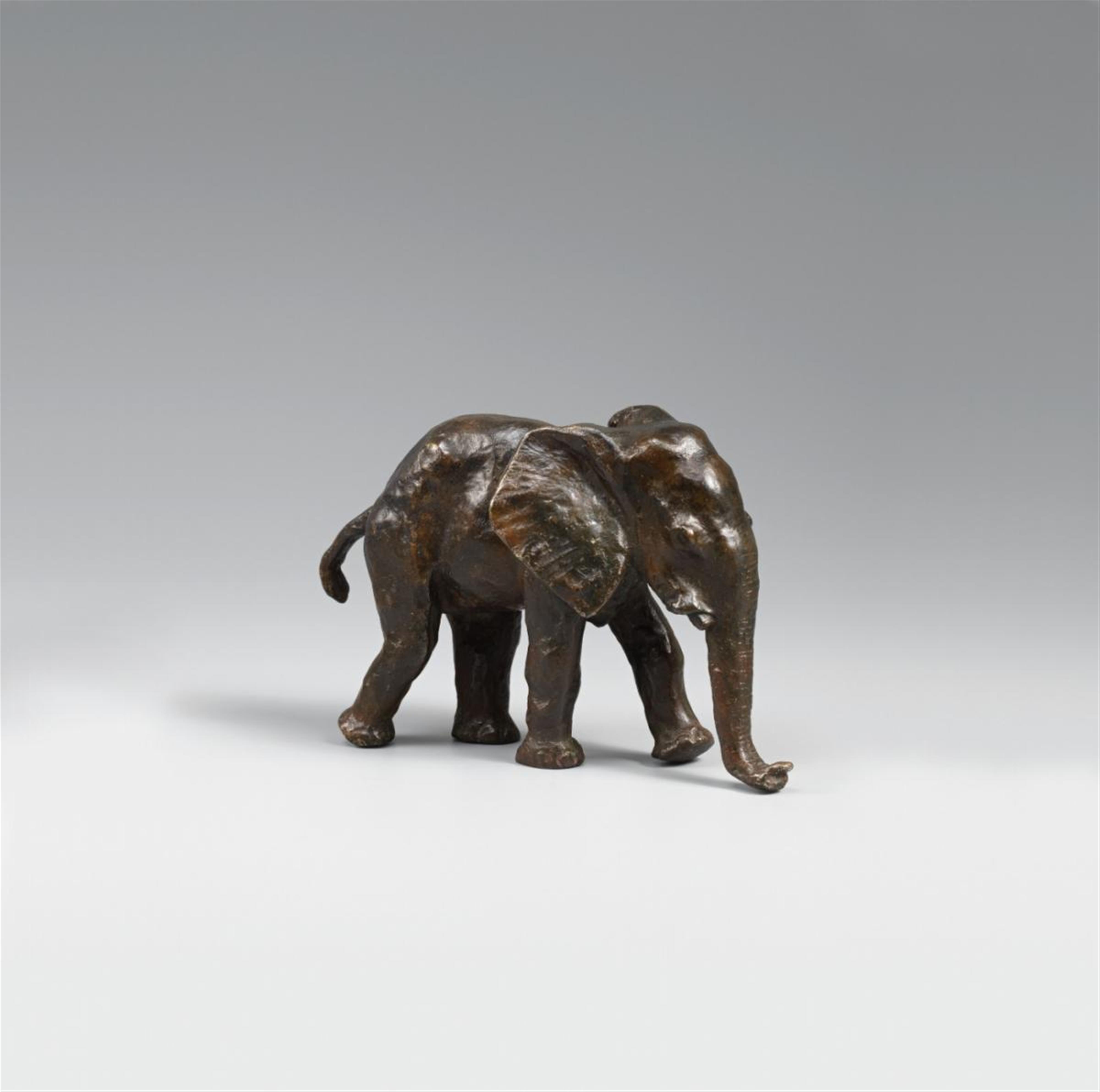 Renée Sintenis - Junger Elefant (Young Elephant) - image-1
