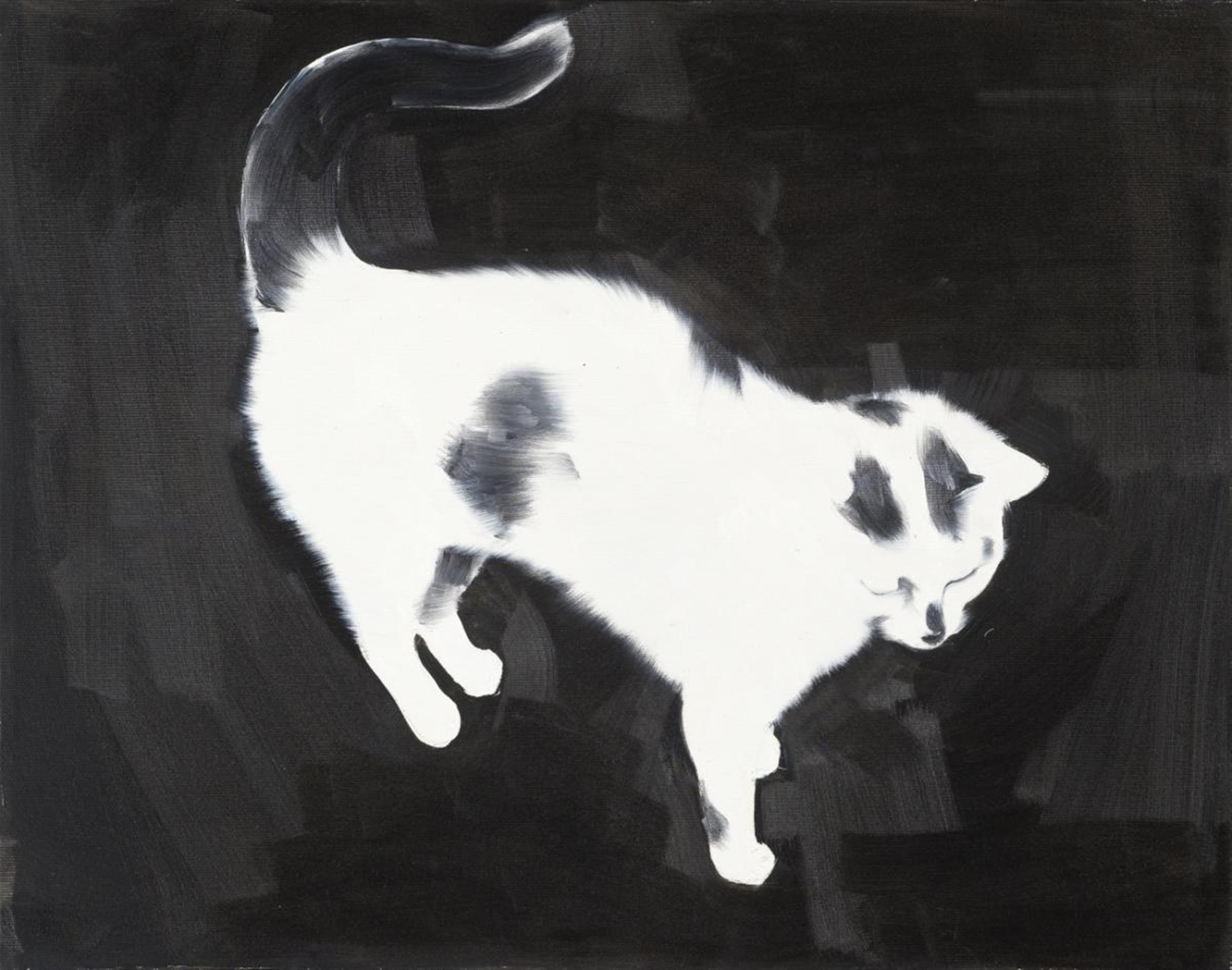 Rafal Bujnowski - Ohne Titel (Katze) - image-1