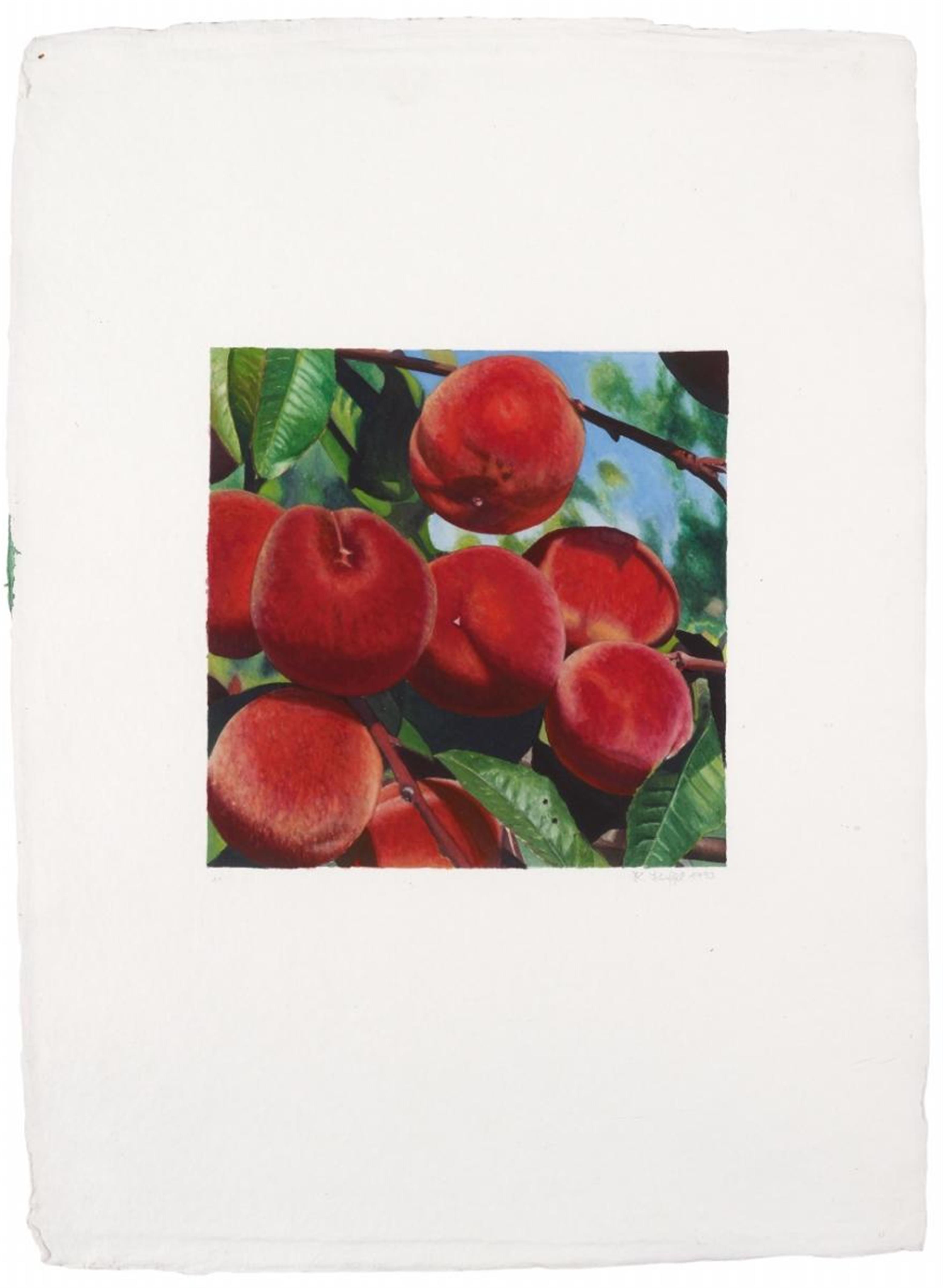 Karin Kneffel - Untitled (Peaches) - image-1