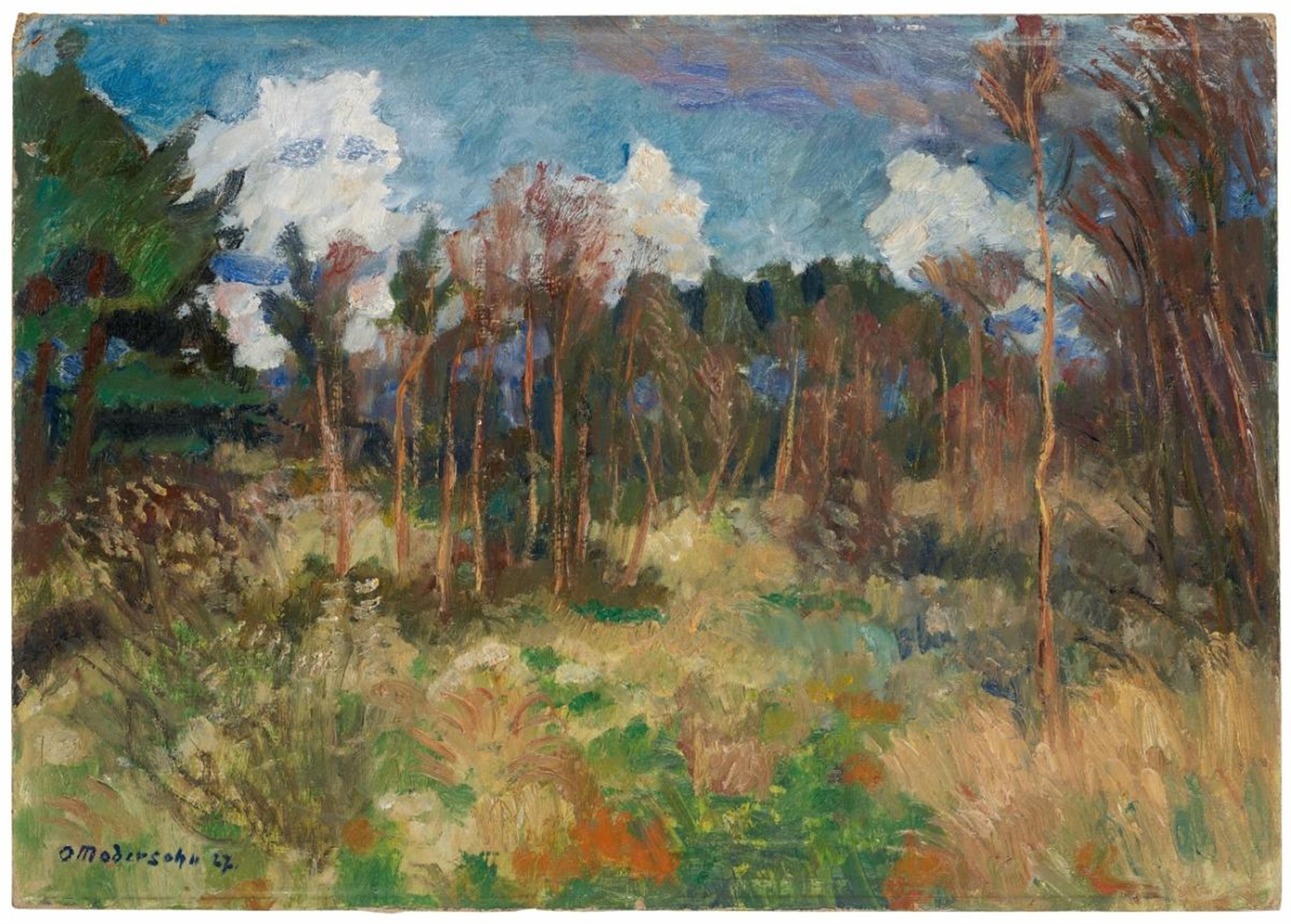 Otto Modersohn - Heidelandschaft: Surheide (Heath Landscape: Surheide) - image-1