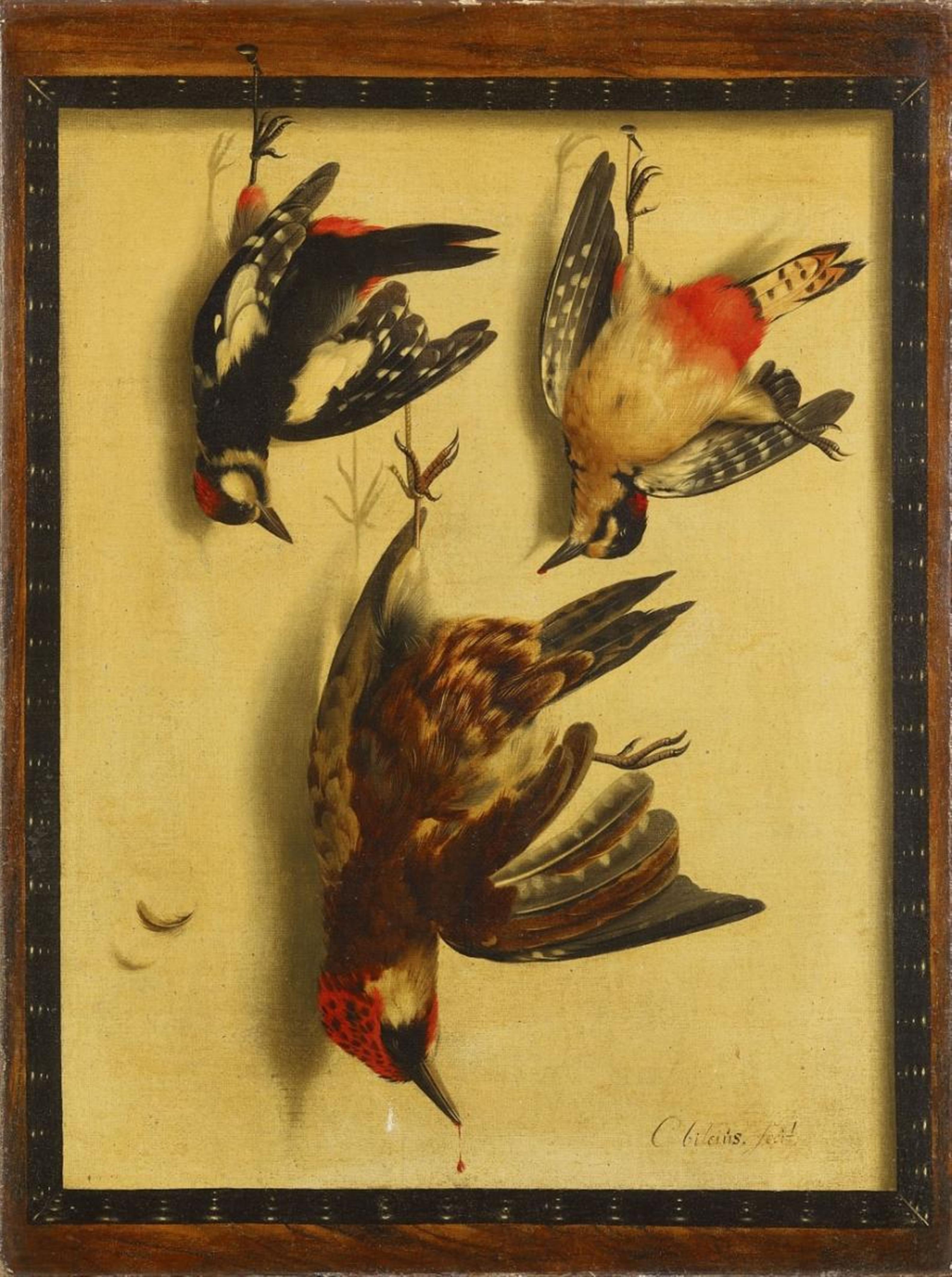 Cornelis Biltius - TROMPE-L´OEIL WITH BIRDS - image-1