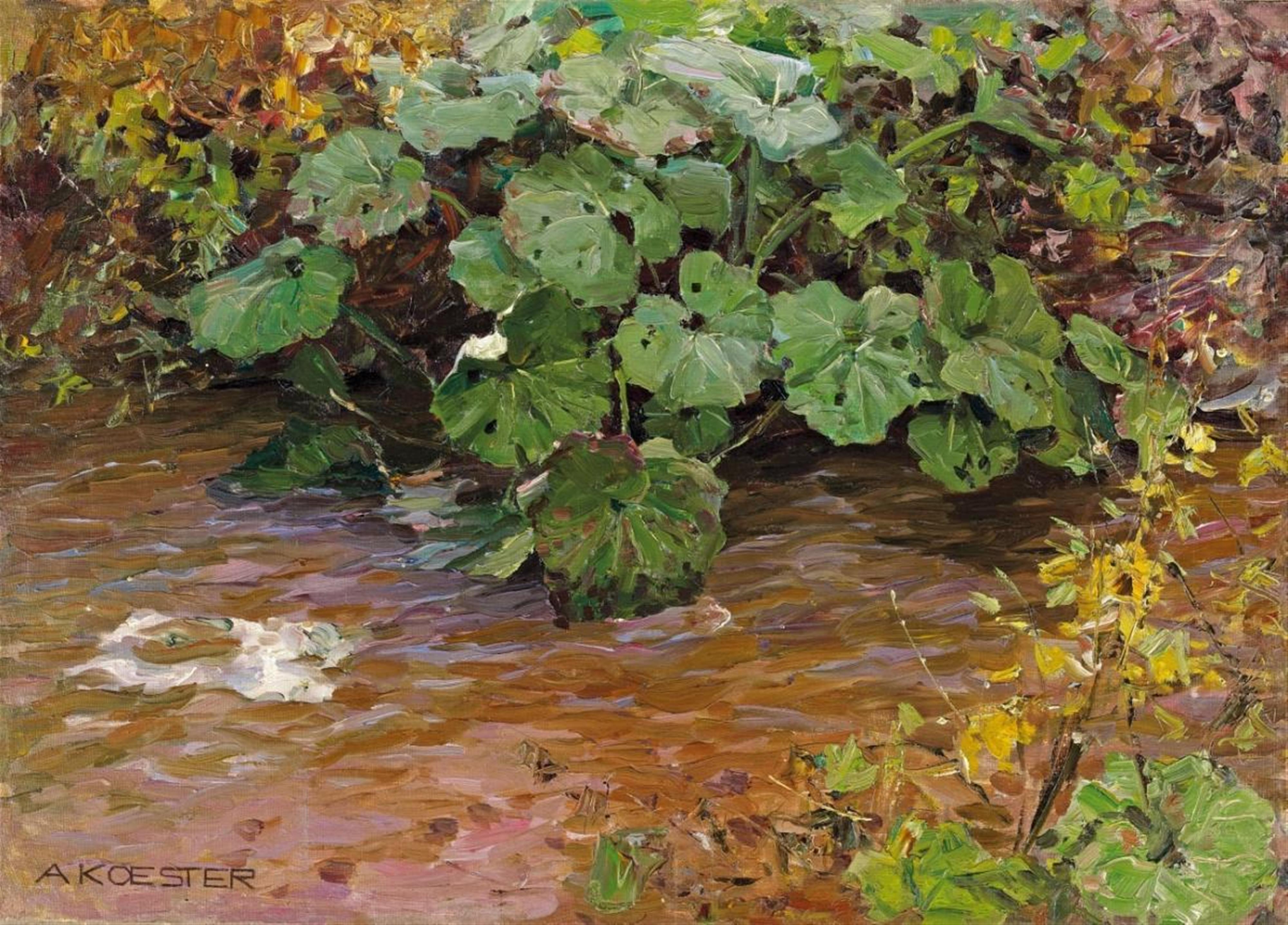 Alexander Koester - PLANT IN THE WATER - image-1