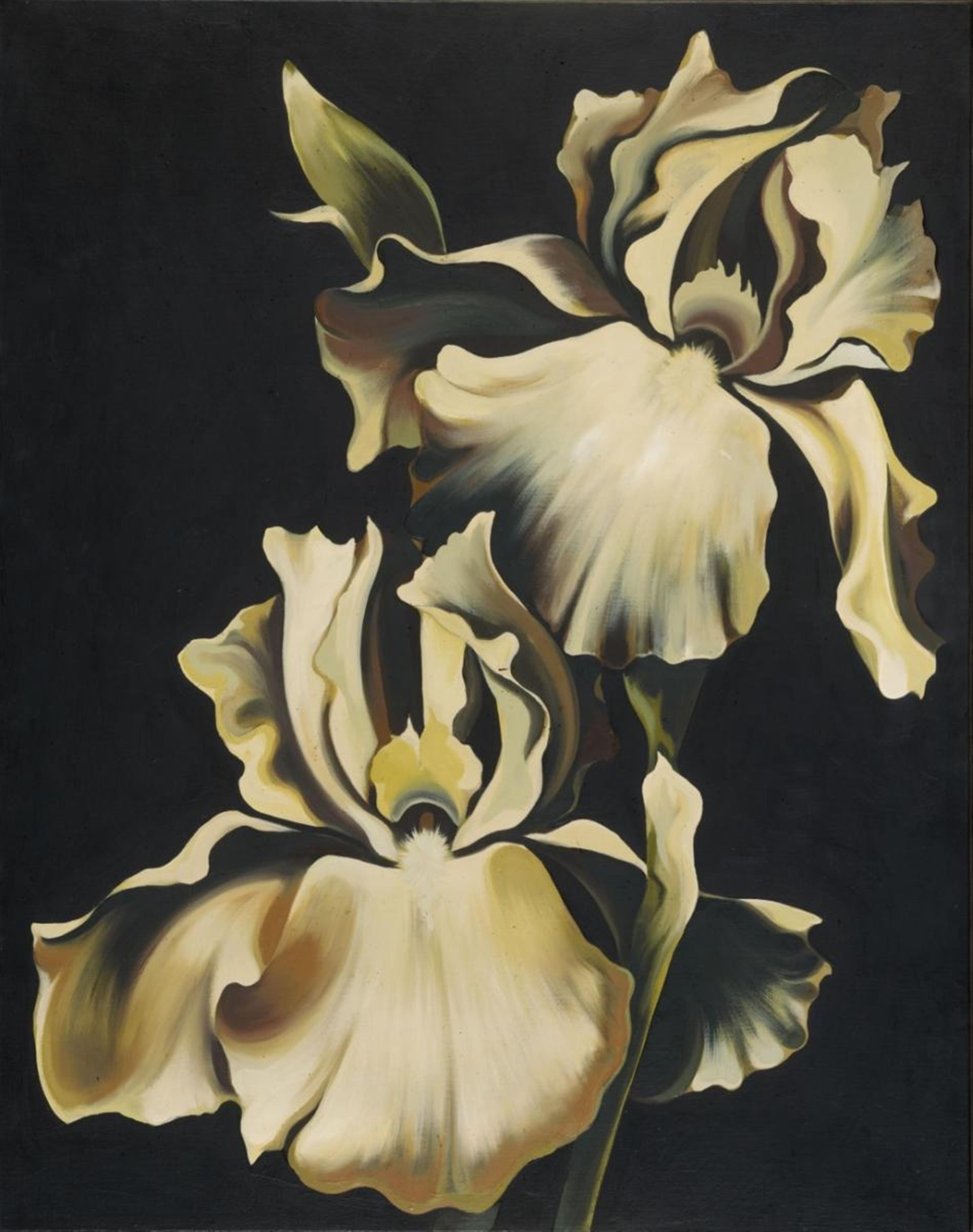 Lowell Nesbitt - Two Iris on Black - image-1