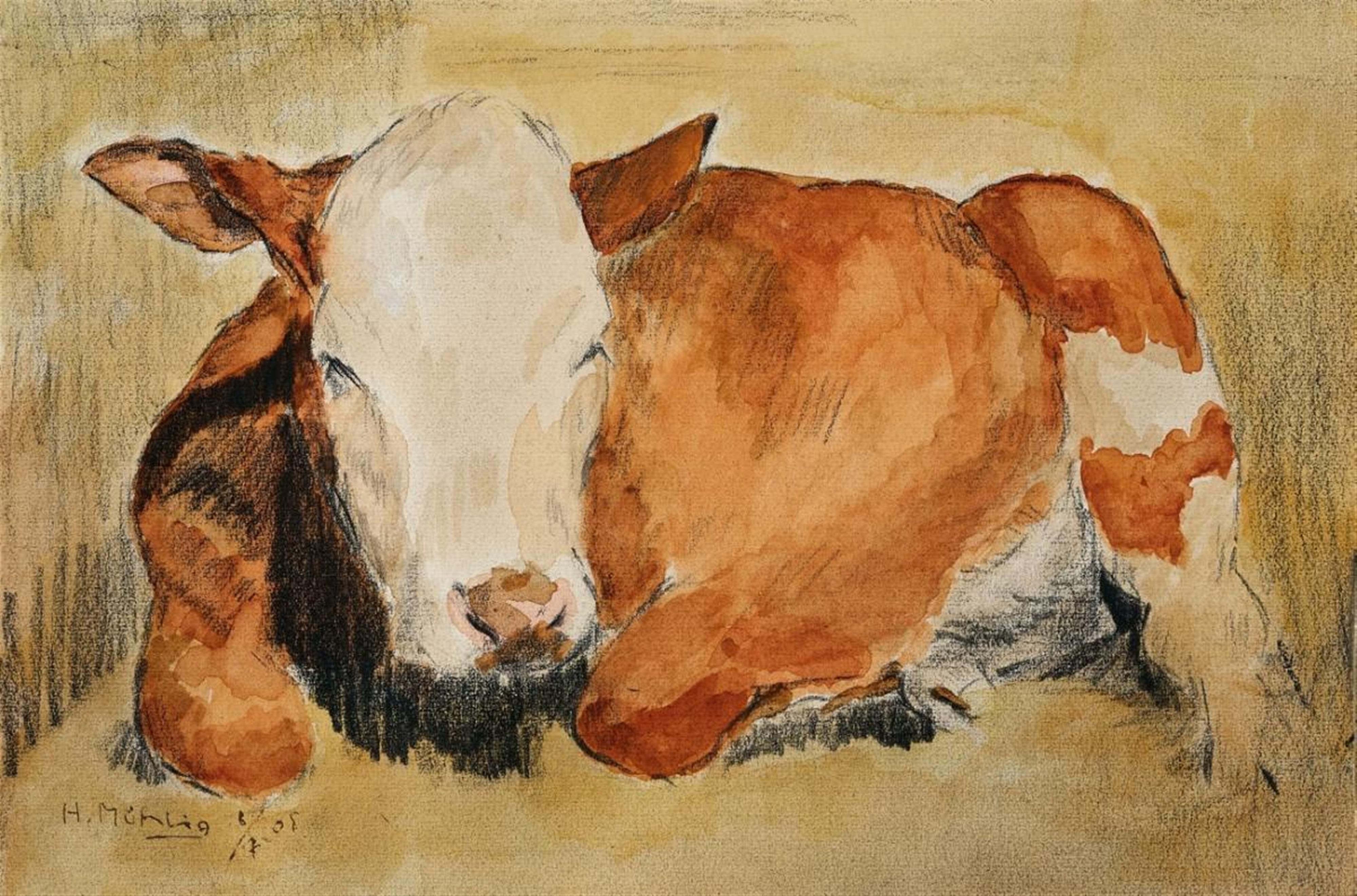 Hugo Mühlig - LYING RED COW - image-1