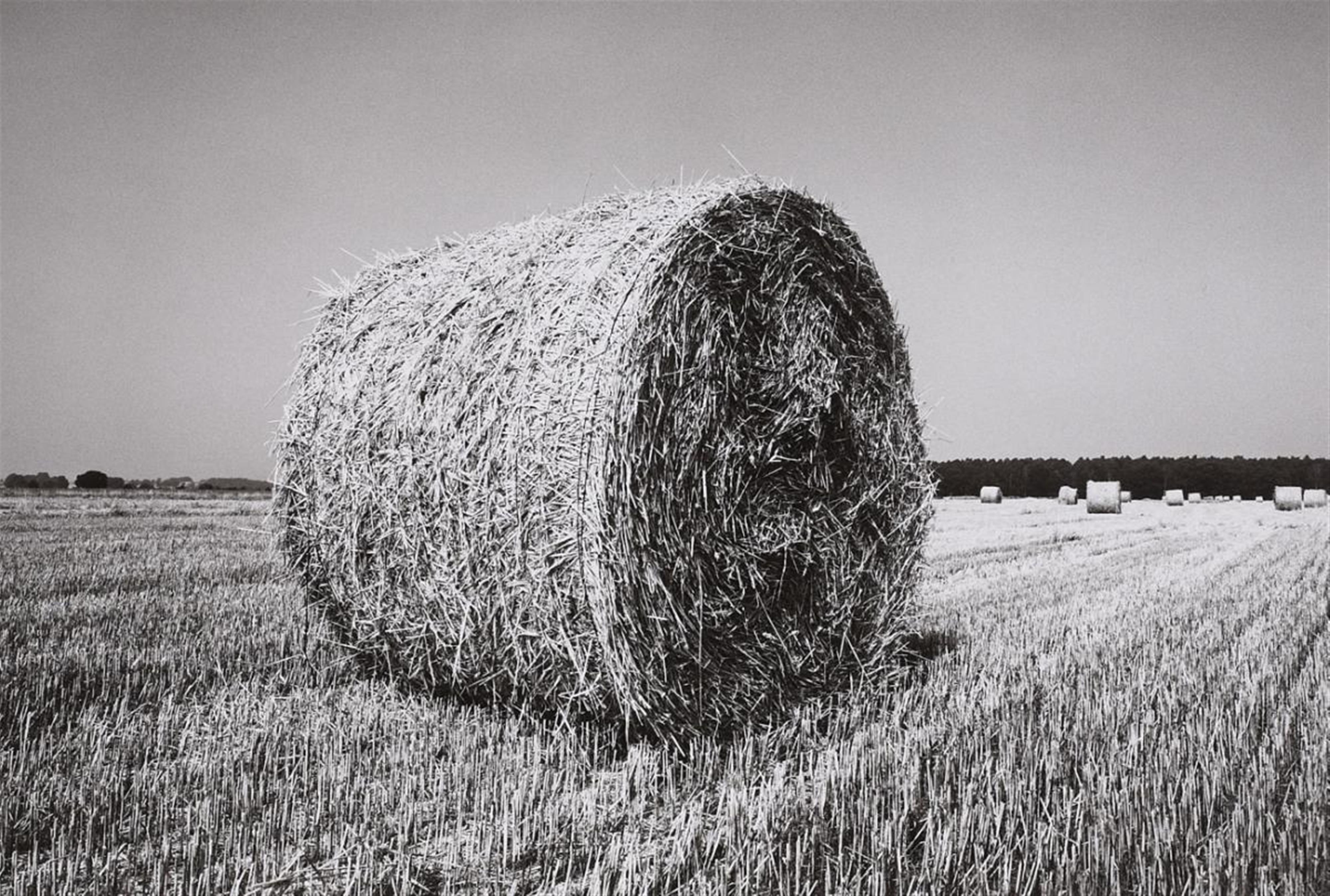 Heinrich Riebesehl - 10 Photographien (aus der Serie: Situationen + Objekte) - image-10