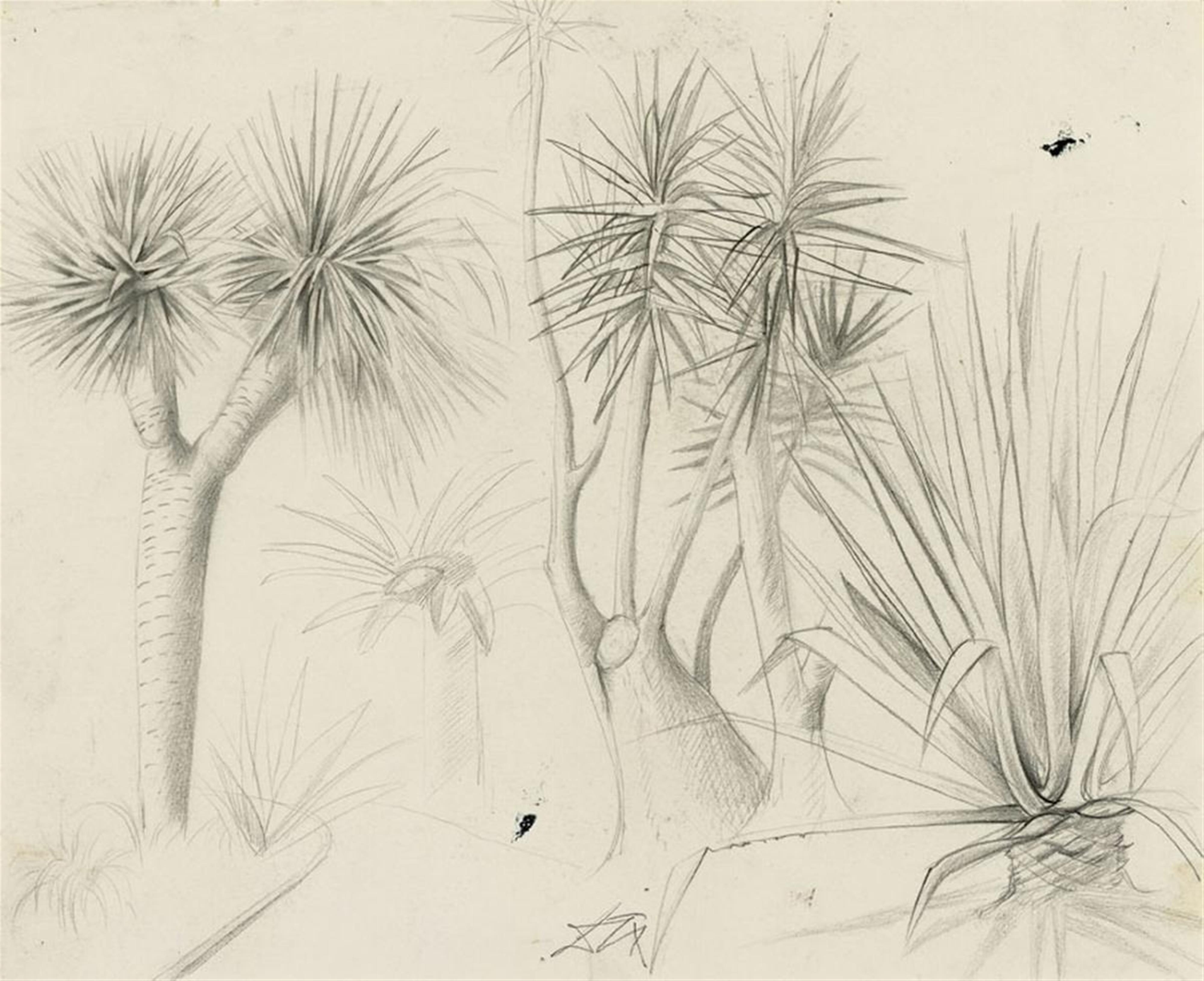 Otto Dix - Tropische Pflanzen (Tropical Plants) - image-1