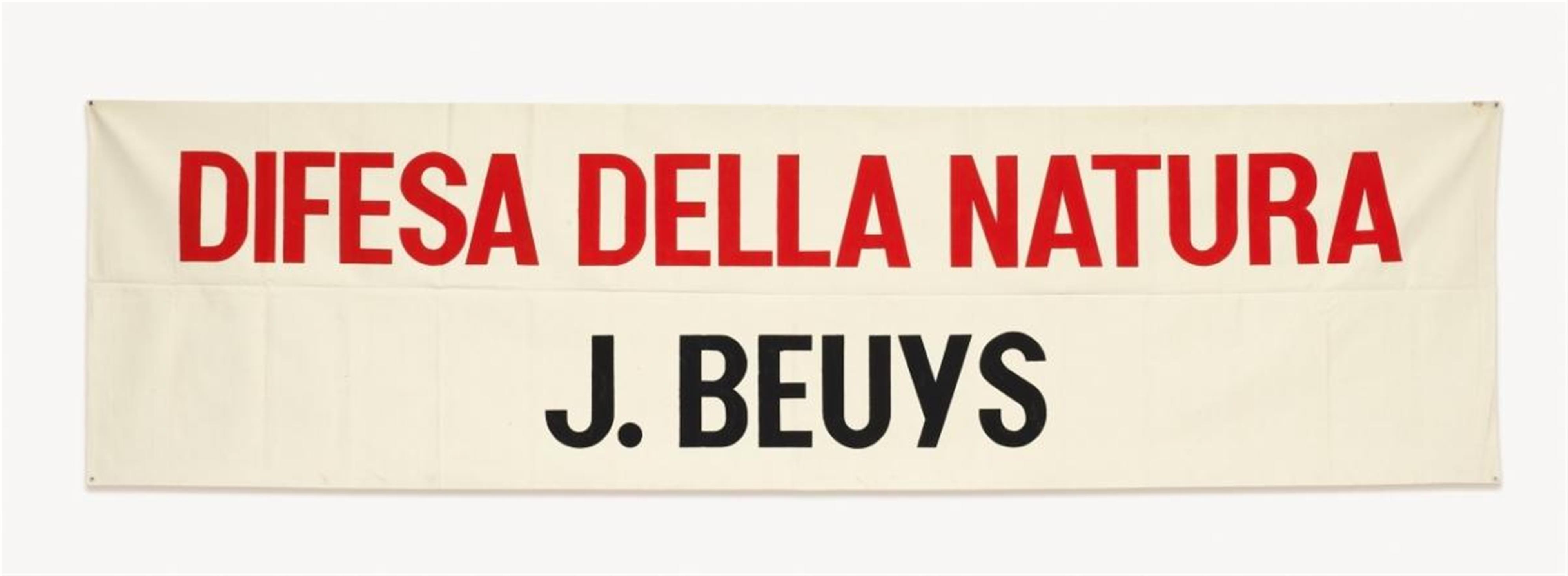 Joseph Beuys - Difesa della natura - image-1