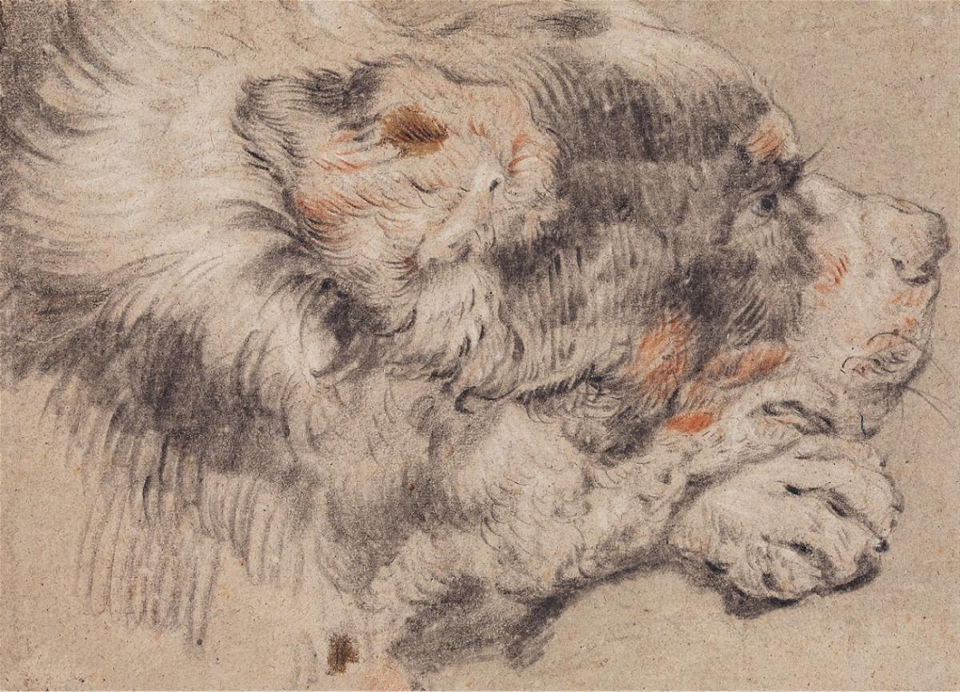 Cornelis Saftleven, attributed to - HEAD OF A DOG - image-1