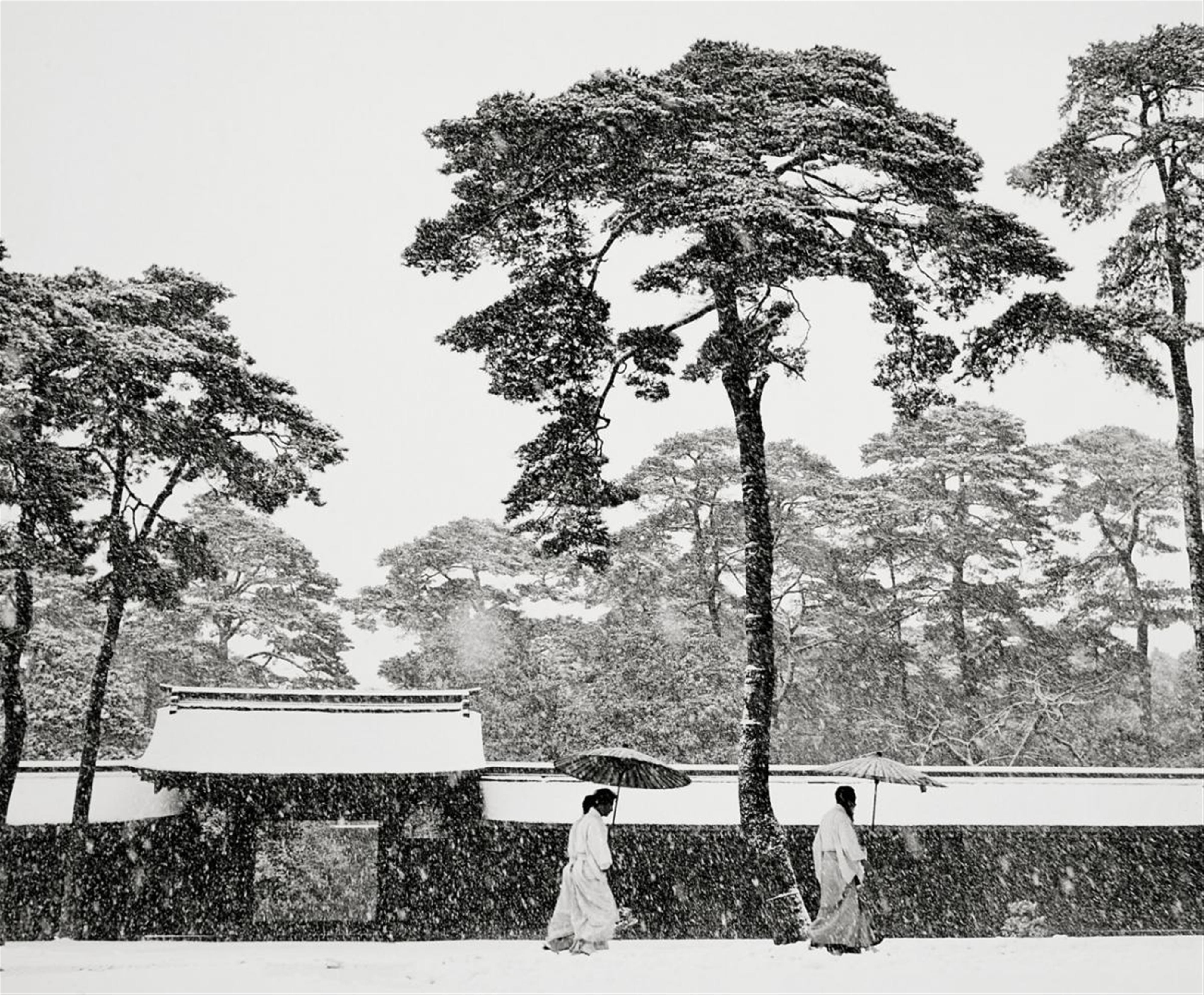 Werner Bischof - In the court of the Meiji Temple, Tokyo, Japan - image-1