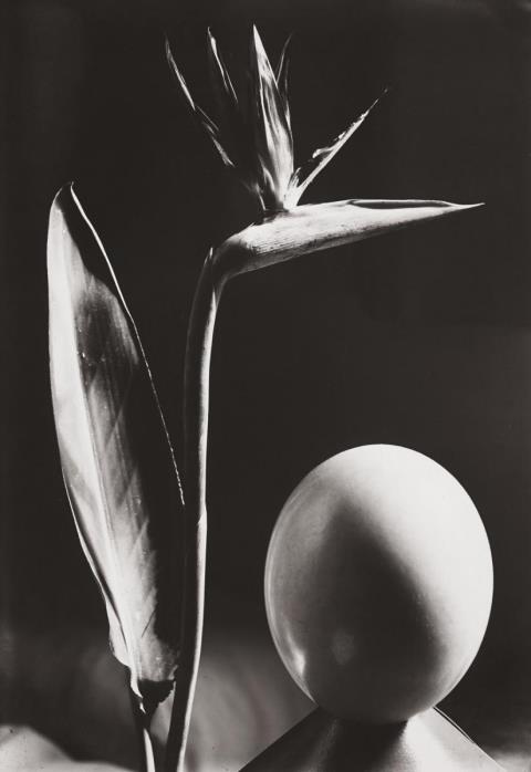 Man Ray - Composition avec l'Oeuf