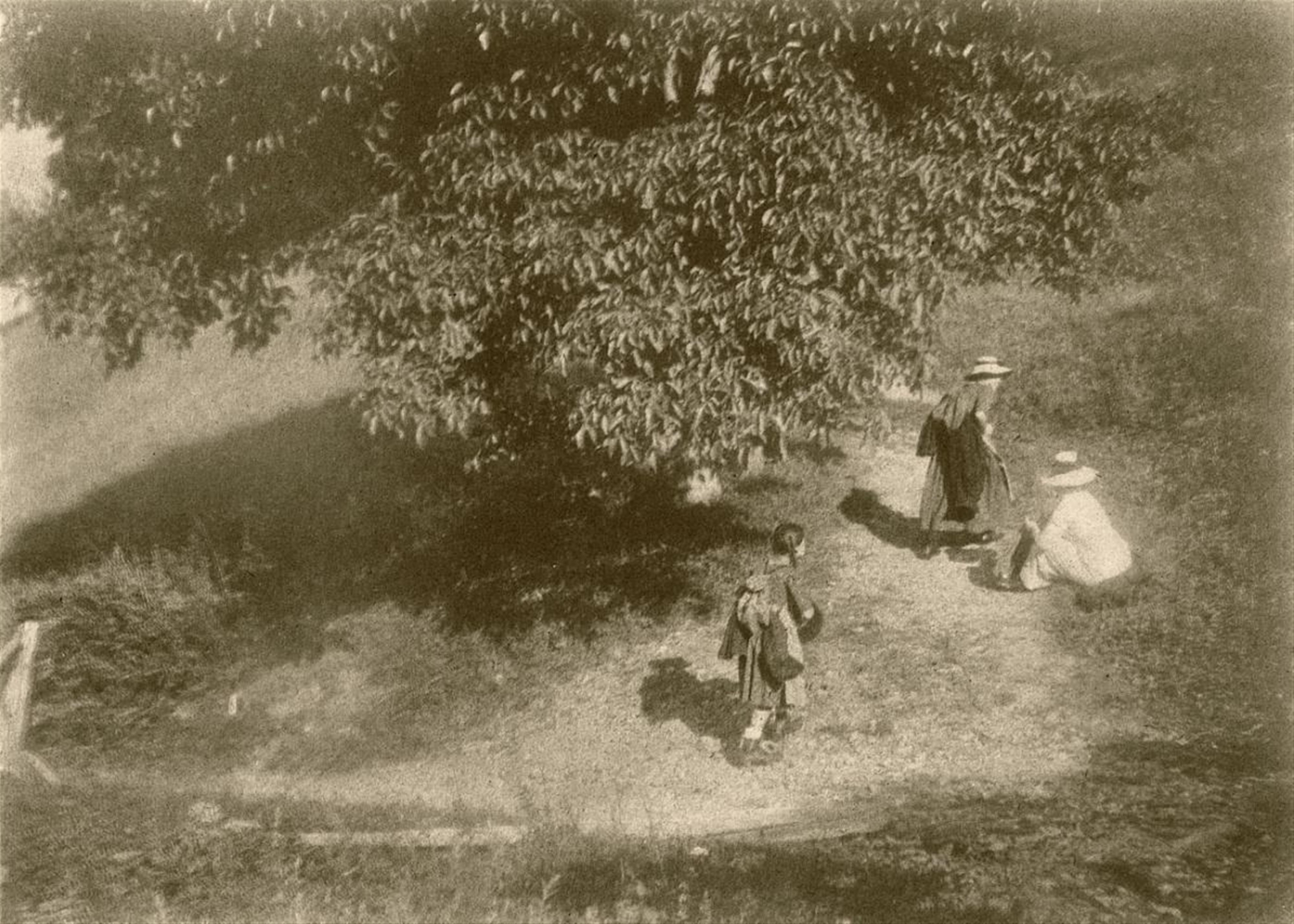 Heinrich Kühn - Wanderer unter einem Baum (Wanderers below a tree) - image-1