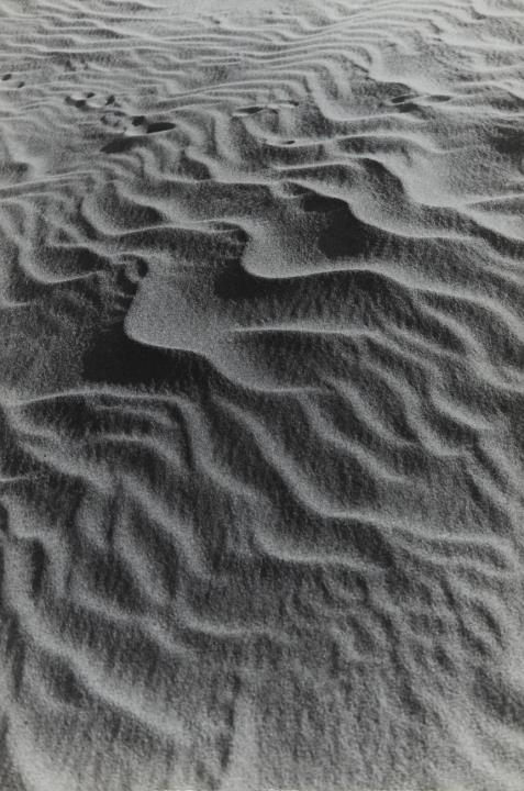 Alfred Ehrhardt - Wind formt feine Wellen in den Sand (from the series: Kurische Nehrung)