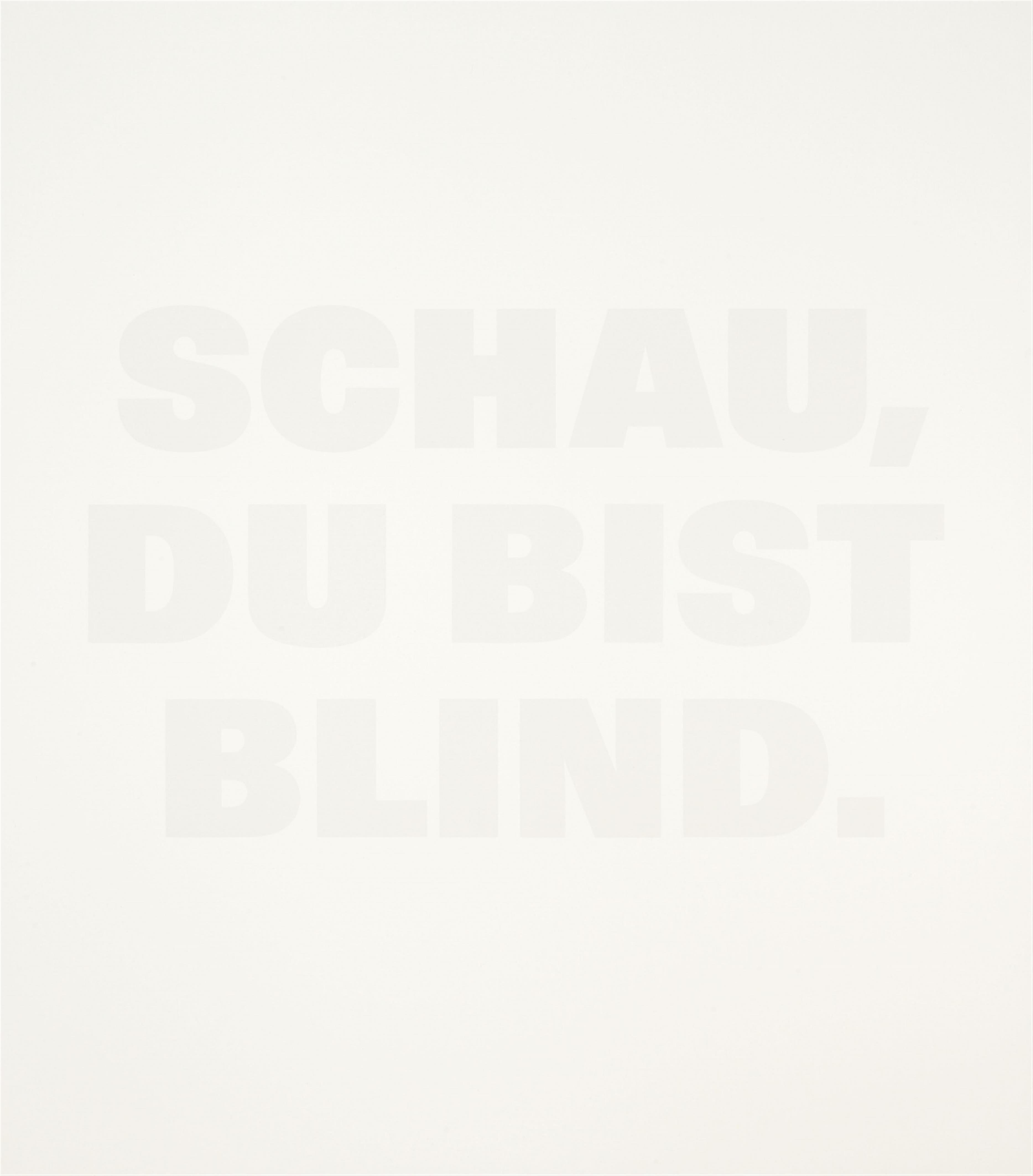 Rémy Zaugg - SCHAU, DU BIST BLIND.