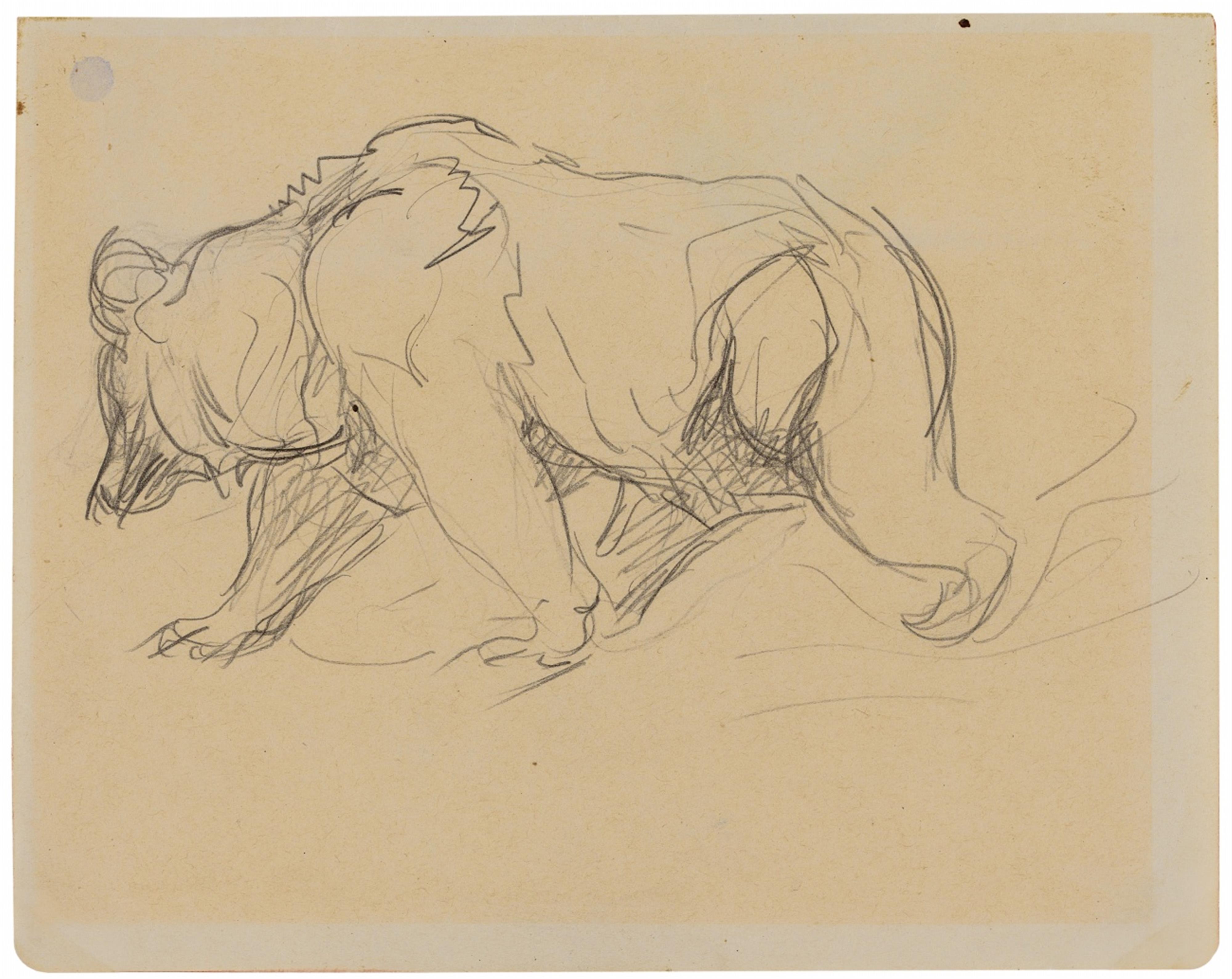 Franz Marc - Schreitender Bär. Verso: Spielende Panther, Katze auf Kissen, Löwe (Fragment) - image-1