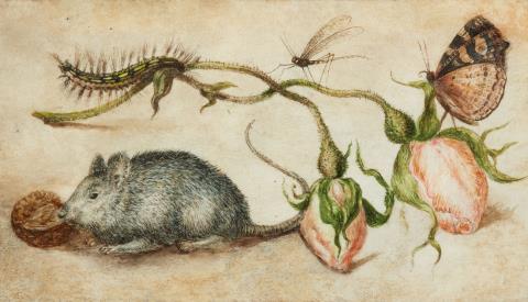 Jan Brueghel the Elder, attributed to - A Mouse, Caterpillar, Dragonfly, Butterfly, and two Rosebuds