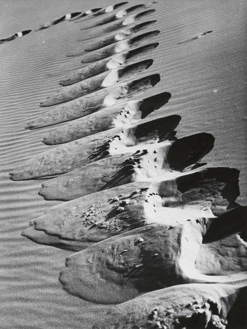 Alfred Ehrhardt - Fußspuren in der Sanddüne, Kurische Nehrung