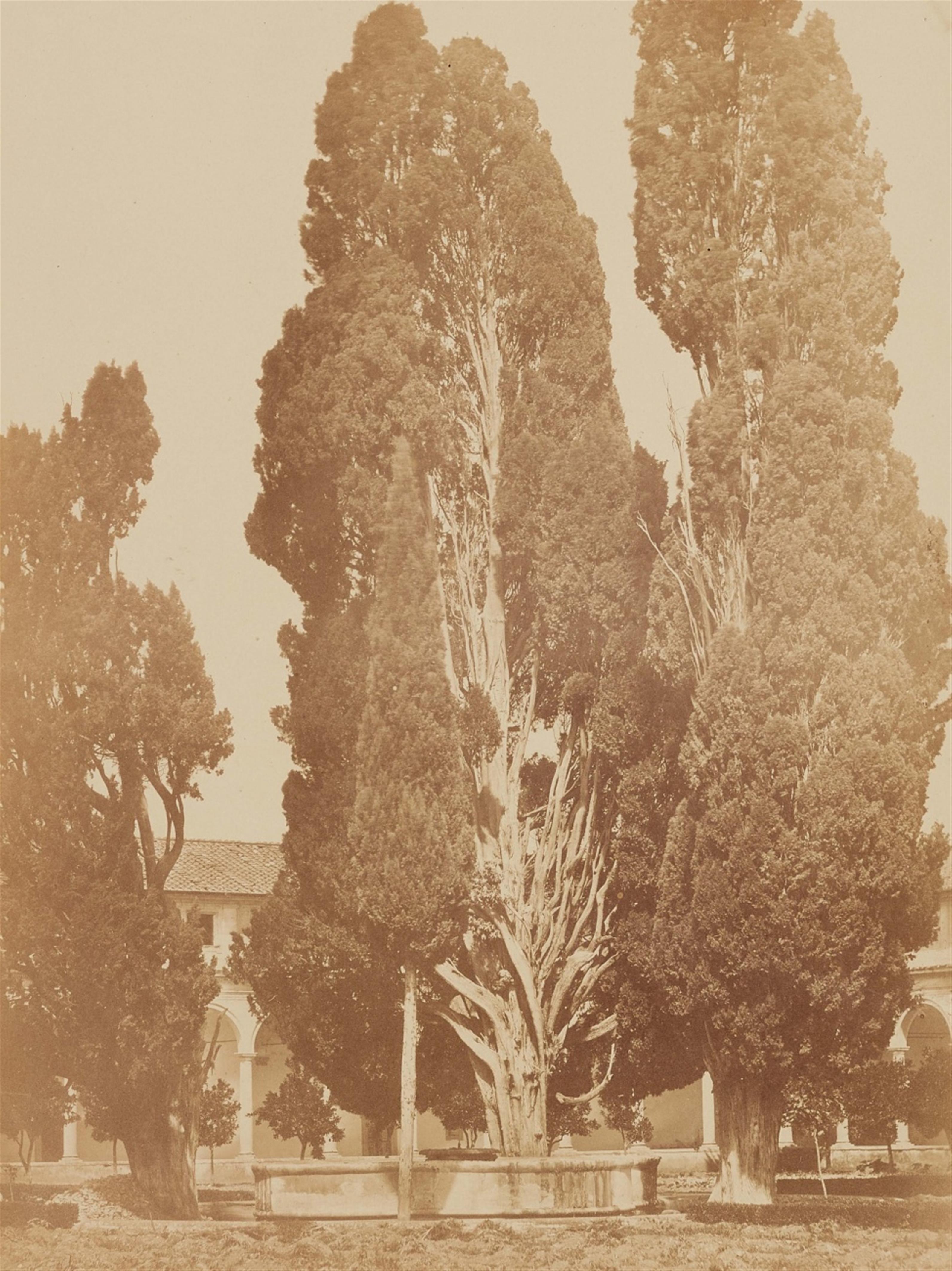 Robert Macpherson - Zypressen bei Santa Maria degli Angeli - image-1