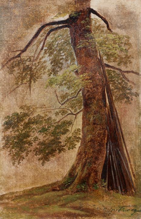 Carl Spitzweg - Old Beech Tree