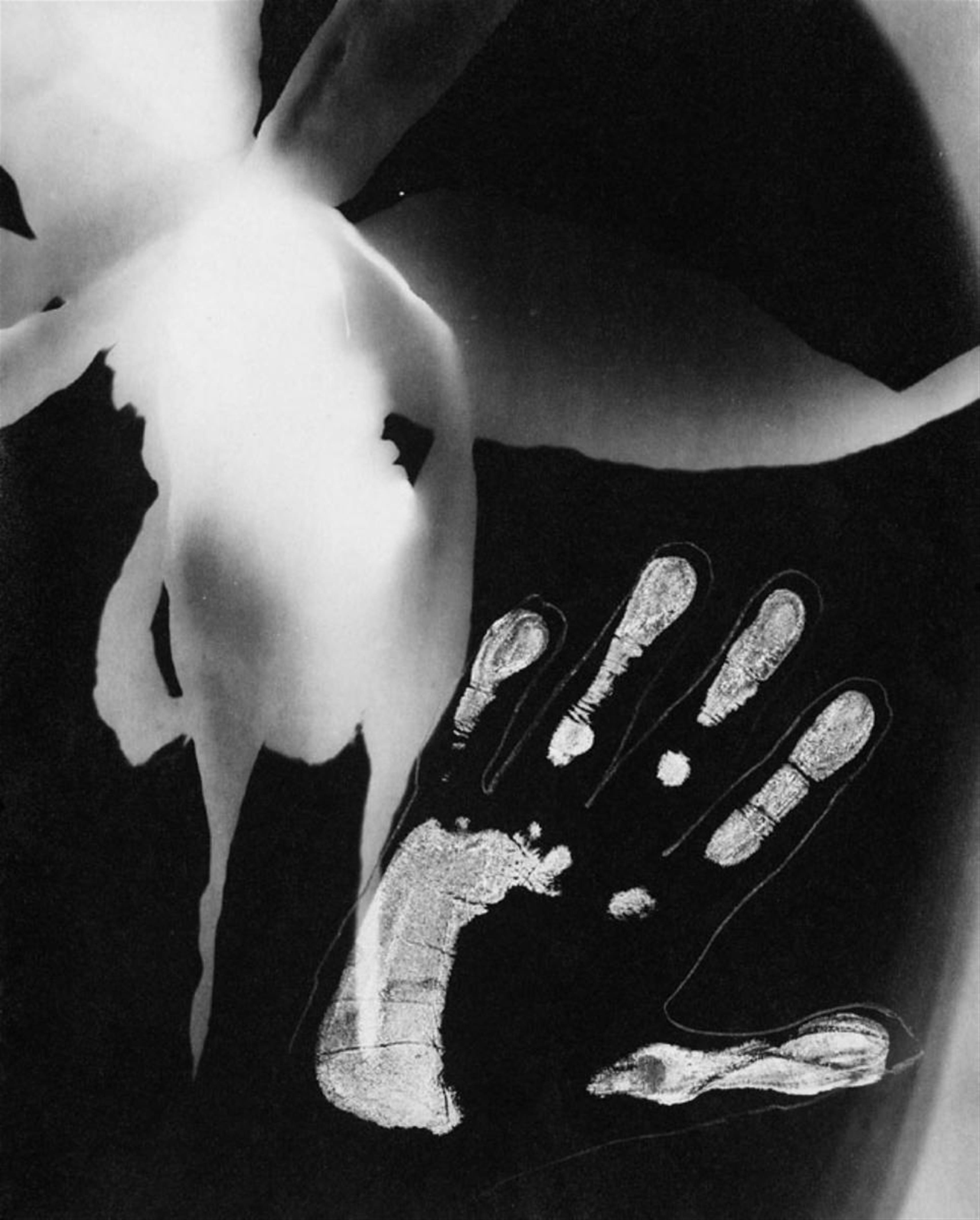 Edmund Kesting - Blüte und Hand (Fotogramm) - image-1