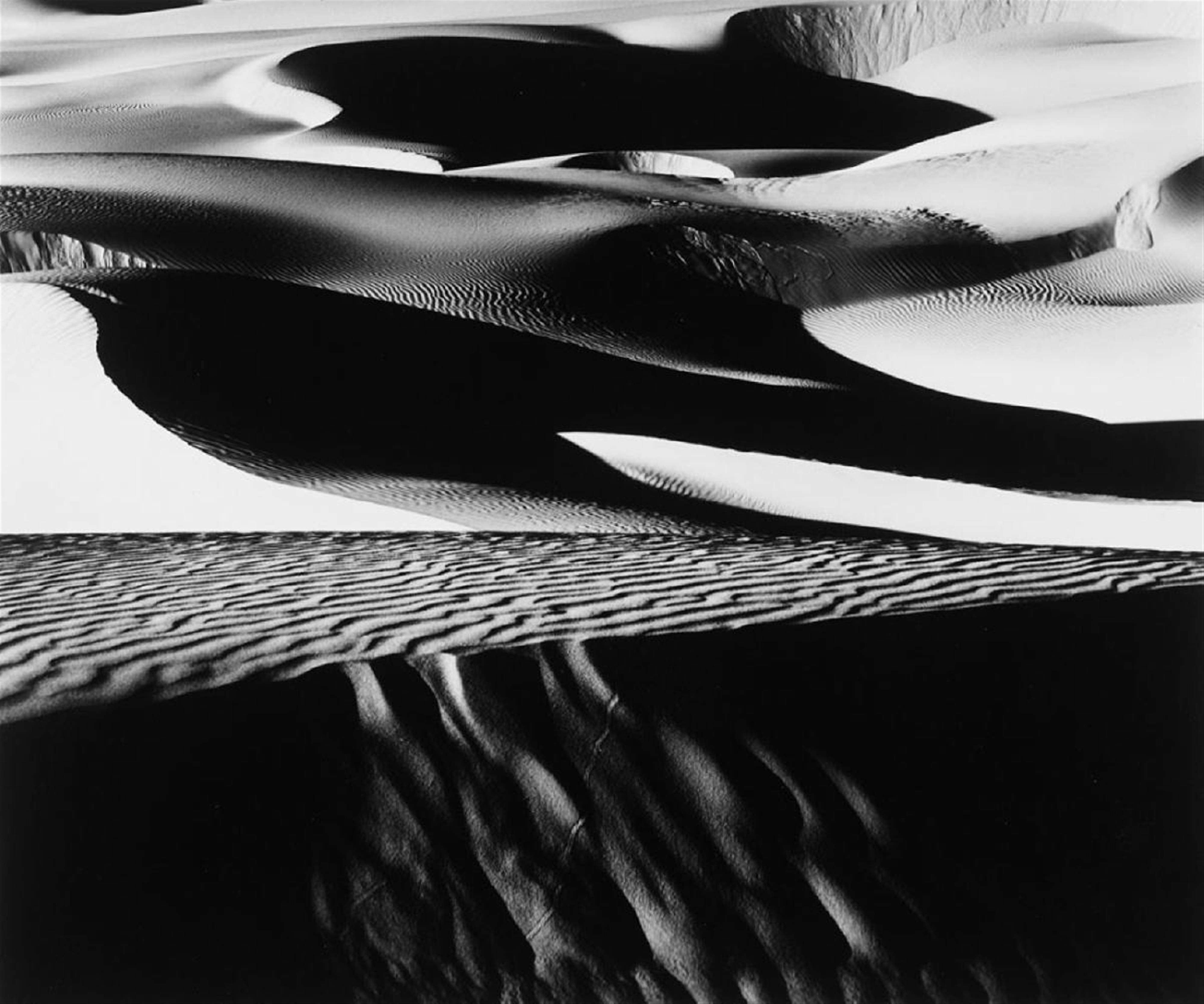 Robert Werling - Oceano Dunes - image-1