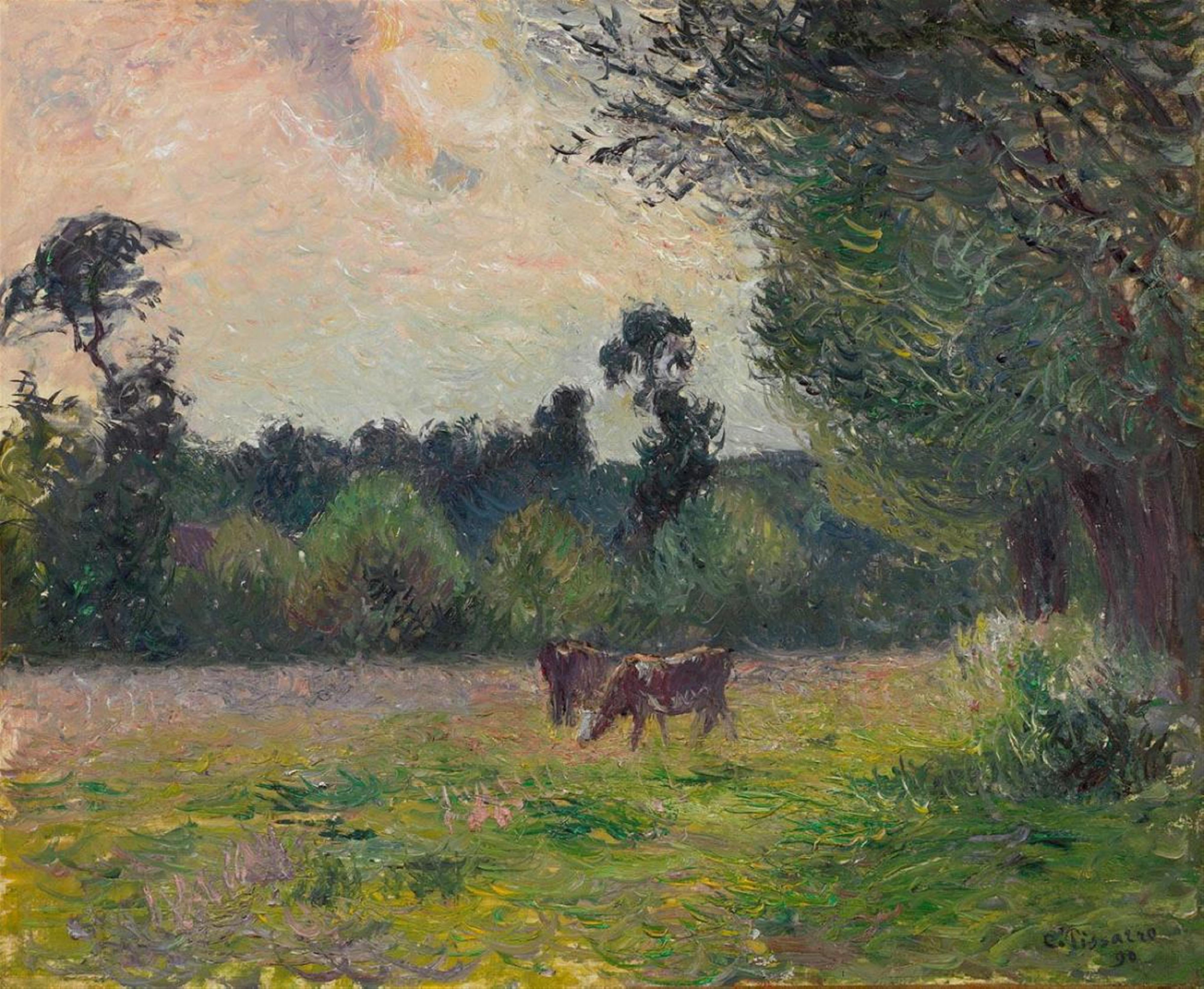 Camille Pissarro - Vaches dans un pré, soleil couchant