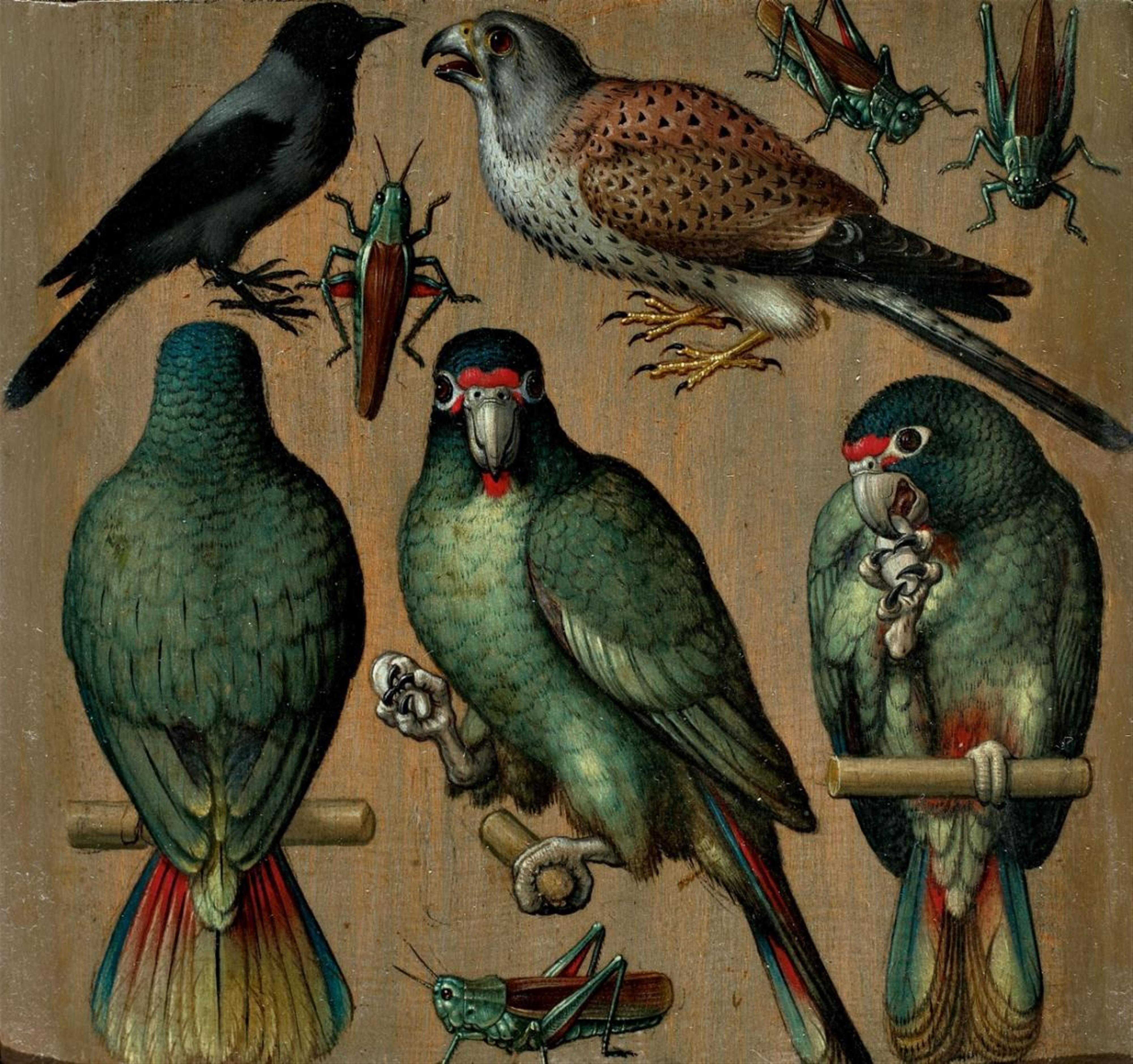 Ludger Tom Ring the Younger, circle of / after - BIRDS AND GRASSHOPPERS