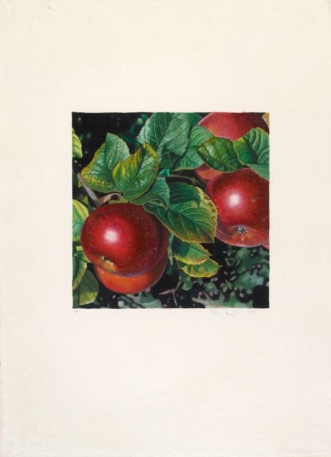 Karin Kneffel - Untitled (Apples)