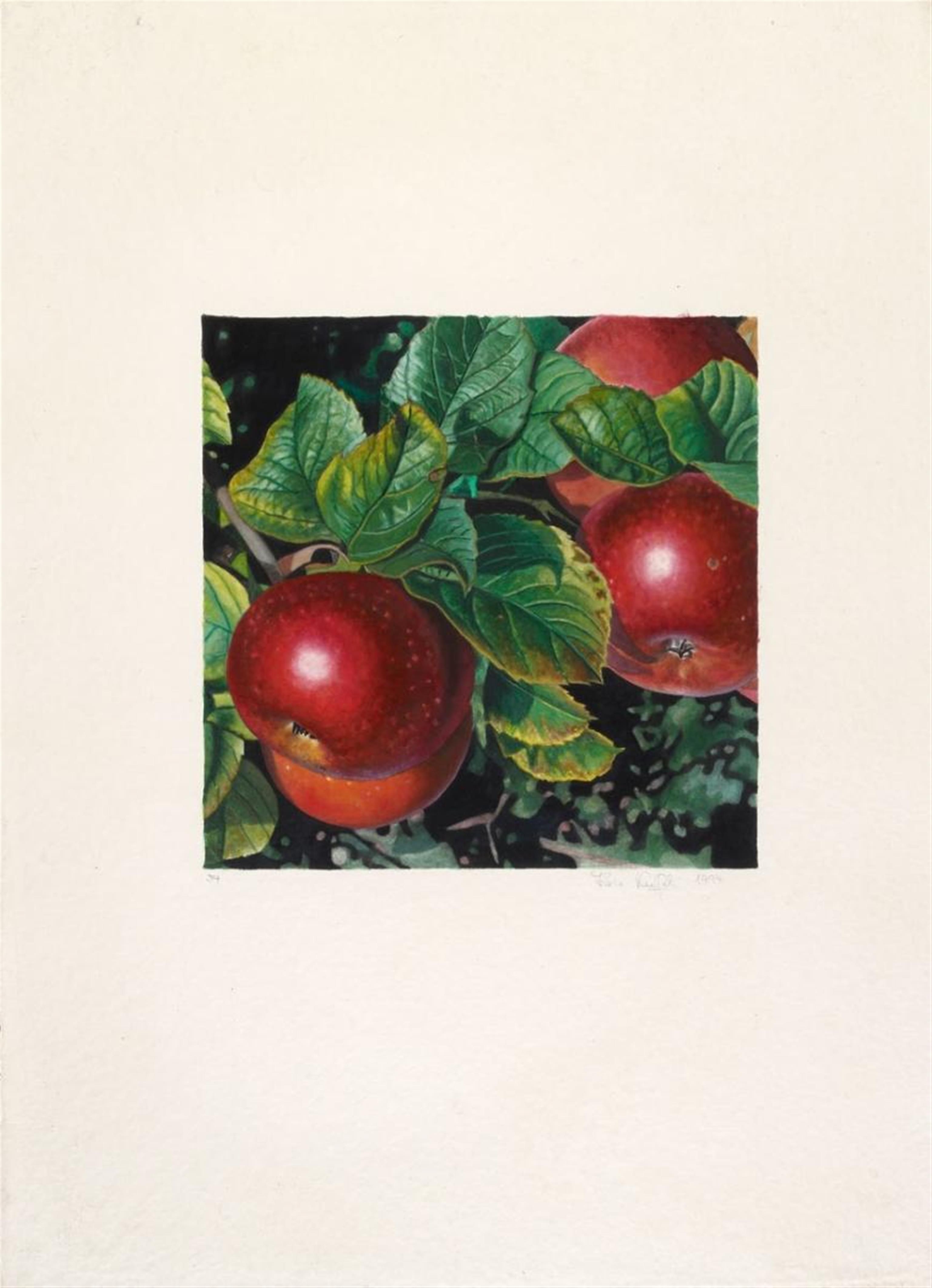 Karin Kneffel - Untitled (Apples) - image-1