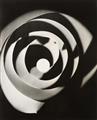 Man Ray - Untitled (Rayographs) - image-2