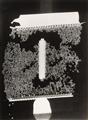 Man Ray - Untitled (Rayographs) - image-8