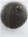 László Moholy-Nagy - 10 Fotogramme - image-8