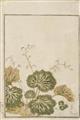 Ooka Michinobu - Ooka Michinobu (act. 1720s-1740) and others - image-2