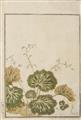 Ooka Michinobu - Ooka Michinobu (act. 1720s-1740) and others - image-4