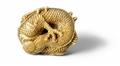 An impressive and superb Kyoto school ivory netsuke of a majestic coiled dragon. Late 18th/early 19th century - image-2