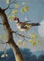 Barbara Regina Diezsch - A Brambling on a Branch A Goldfinch on a Branch - image-2
