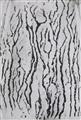 Man Ray - Les vois lactées - image-2
