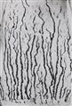 Man Ray - Les vois lactées - image-3