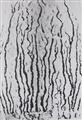 Man Ray - Les vois lactées - image-7