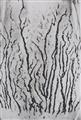 Man Ray - Les vois lactées - image-8