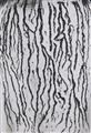 Man Ray - Les vois lactées - image-9