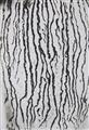 Man Ray - Les voies lactées - image-10