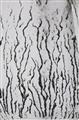 Man Ray - Les voies lactées - image-11