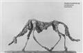 Alberto Giacometti - Diego assis sur le lit dans l'atelier / Le Chien sur un tabouret dans l'atelier / Buste - image-3