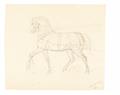 Carl Philipp Fohr - His Dog Grimsel Horse Studies on Verso - image-2